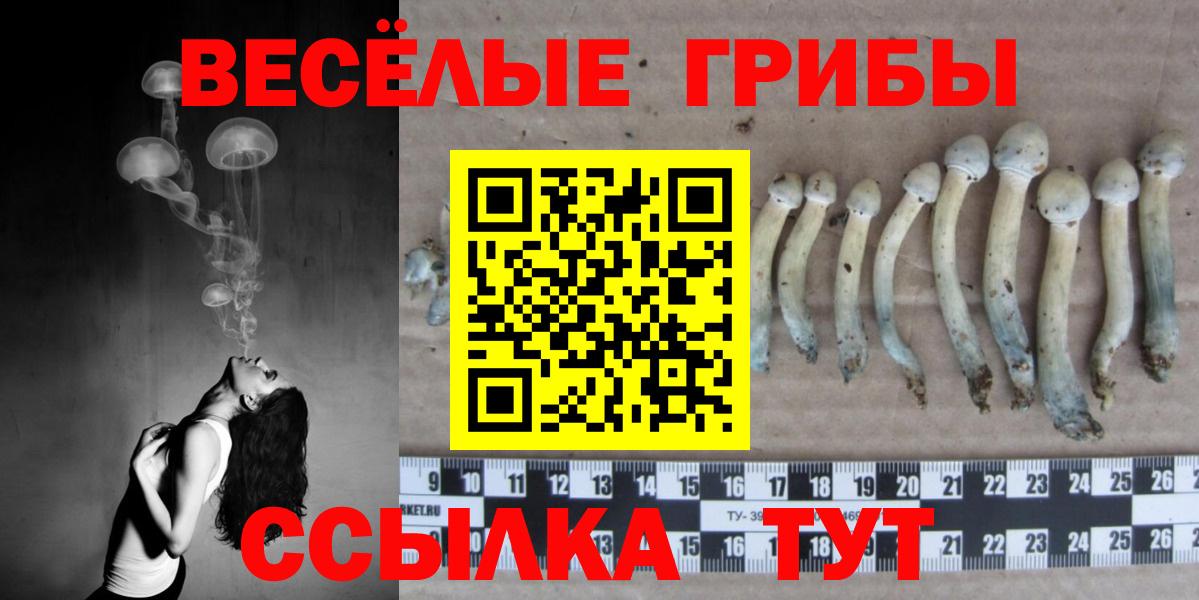 Галлюциногенные грибы мухоморы Минеральные Воды