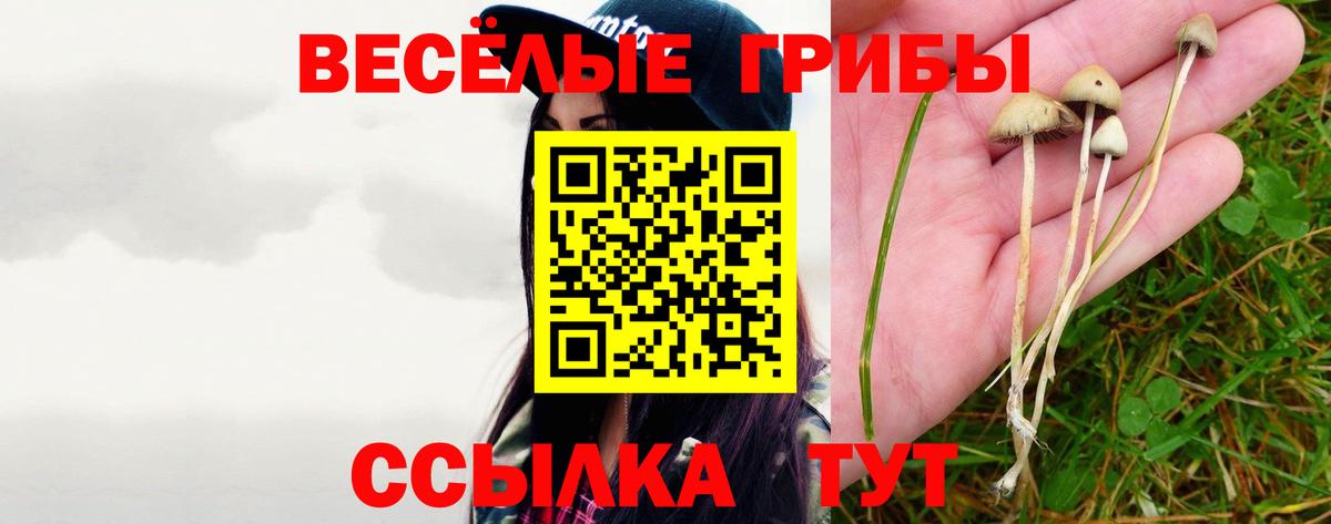 Минеральные Воды  Псилоцибиновые грибы Psilocybine cubensis  Вход с VPN  Псилоцибиновые грибы мицелий 